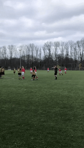 svDSOmeiden giphyupload GIF