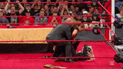 Ronda Rousey Wrestling GIF by WWE