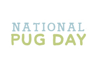 Dog Pug Sticker by Natural Dog Company