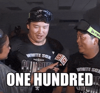 White Sox Chicago GIF