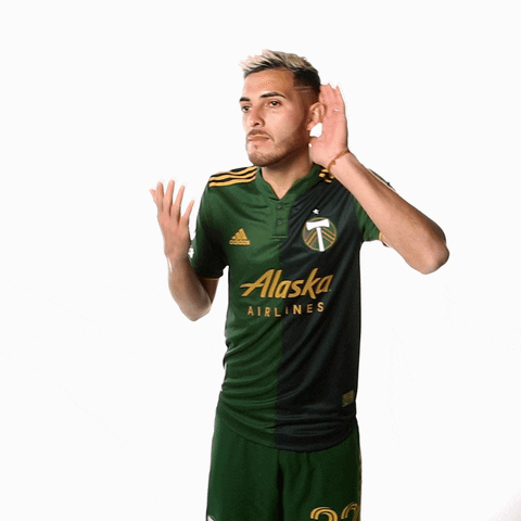 Lets Go Sport GIF by Timbers