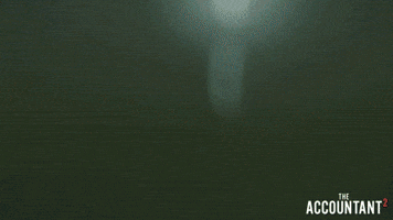 GIF by The Accountant 2