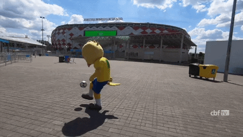 selecao brasileira russia GIF by Confederação Brasileira de Futebol
