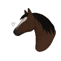 Horse Pony Sticker by winterlichtmalerei