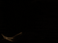 Sub Pop Girl GIF by Sub Pop Records