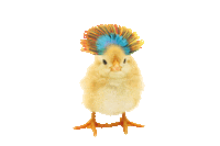 prokauf-marketing marketing wind lustig witzig Sticker