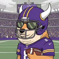 Minnesota Vikings Football GIF by Doge Pound