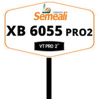 Semeali Sticker by semealisementes