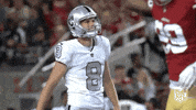 2018 Nfl Football GIF by NFL