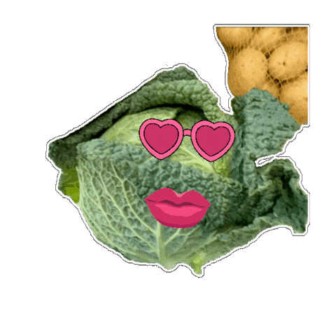 Herbst Cabbage Sticker
