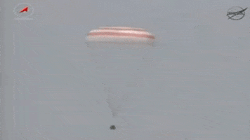 parachute capsule GIF by TED