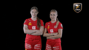 Floorball Salibandy GIF by F-liiga