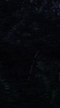 AccionJuvenil cen pan acciónnacional GIF