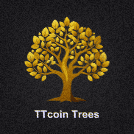 Bitcoin Coin GIF by ttcoinnetwork