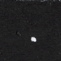 Night Moon GIF
