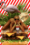 GIF by haydiroket (Mert Keskin)