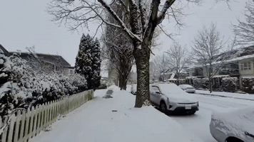 Winter Storm Treats Vancouver to a Rare White Christmas