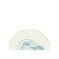 Fish And Chips Sticker by No1 Cromer