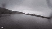 GIF by Giffffr