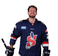 tiposshl sport hockey hokej shl Sticker