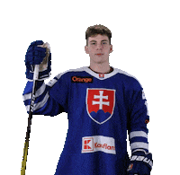 tiposshl sport hockey hokej shl Sticker