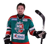 tiposshl sport hockey hokej shl Sticker