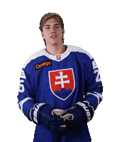 tiposshl sport hockey hokej shl Sticker