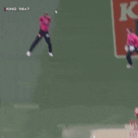 Babar Azam Catch GIF