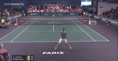 Shapo Court Coverage vs. Zverev