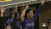 Happy Regular Season GIF by MLB