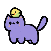 Cat What Sticker