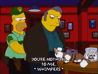 homer simpson episode 22 GIF