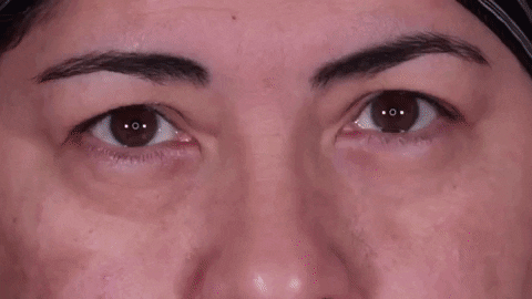 mariajimenacortesramirez giphyupload GIF