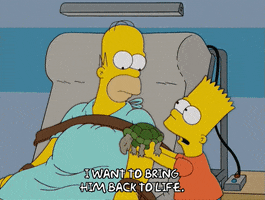 homer simpson GIF