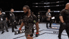 ufc 205 GIF