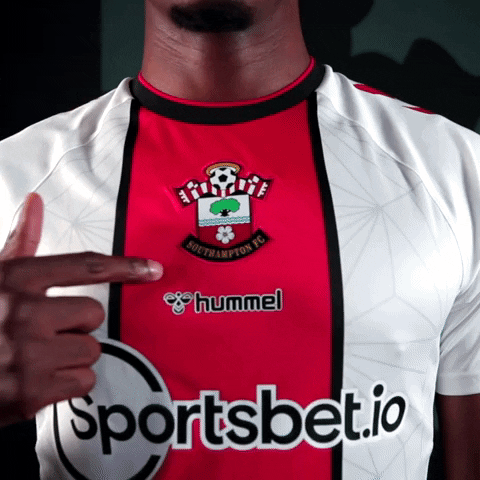 Premier League Football GIF by Southampton FC