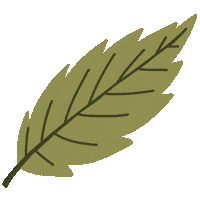 Green Leaf Sticker