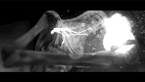 Knocked Loose Metal GIF by Pure Noise Records