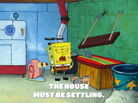 season 8 GIF by SpongeBob SquarePants