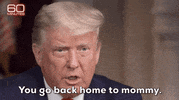 Donald Trump GIF by GIPHY News