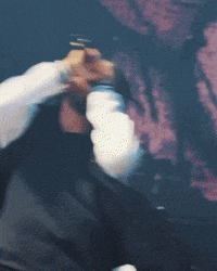 Sebastian GIF