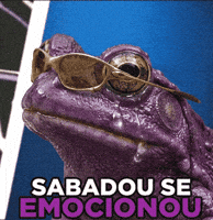 Saturday Sabadou GIF