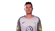 Pavao Pervan Football Sticker by VfL Wolfsburg