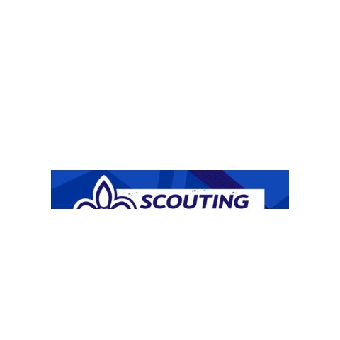 scoutingireland giphygifmaker scouting ireland irish scouts ireland scouts Sticker