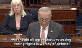 Chuck Schumer Senate GIF by GIPHY News