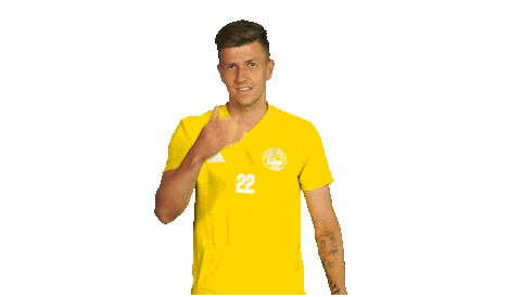football facepalm Sticker by 1. fotbalová liga