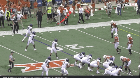 hoffeli giphyupload GIF