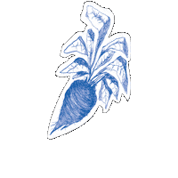 Fehmarn Sticker by fehmarndestillerie