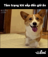 duong-gif28 GIF by Lozi Singapore Co.