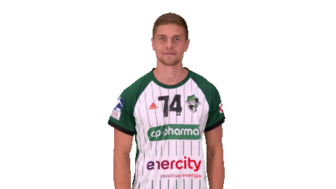Handball-Bundesliga Fun Sticker by LIQUI MOLY HBL